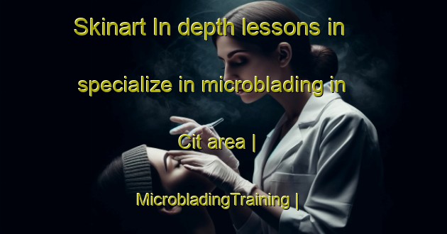 Skinart In-depth lessons in specialize in microblading in Cit area | MicrobladingTraining | MicrobladingClasses | SkinartTraining-Turkey